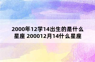 2000年12学14出生的是什么星座 200012月14什么星座